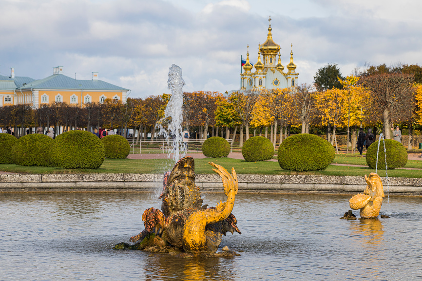 Верхний сад. Клумба с тюльпанами